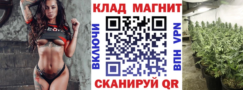 Купить наркотики сайты Болотное Бошки Шишки  КОКАИН  ГАШ  Меф 
