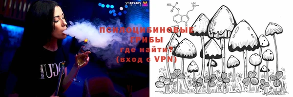 Альфа ПВП Алексин