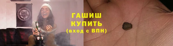 крисы Абаза