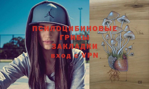 Альфа ПВП Алексин