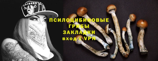 кокс Алексеевка