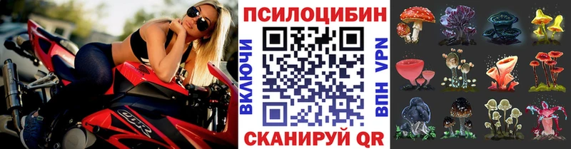 MEGA ссылка Болотное Псилоцибиновые грибы GOLDEN TEACHER